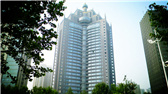 洛陽開元礦業(yè)集團(tuán)有限公司，始成立于2006年，主營業(yè)務(wù)涵蓋礦產(chǎn)品貿(mào)易、礦山開發(fā)、酒店服務(wù)、房地產(chǎn)開發(fā)和金融投資等，集團(tuán)位于洛陽市開元大道世貿(mào)中心；中國民主建國會(huì)會(huì)員、青年企業(yè)家許明月先生是公司創(chuàng)始人和實(shí)際控制人，目前任洛陽開元礦業(yè)集團(tuán)有限公司董事長(zhǎng)兼總經(jīng)理。